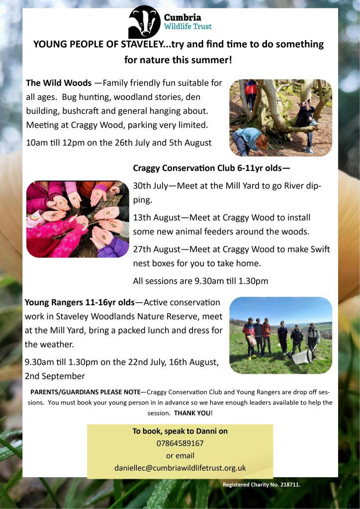 A poster showing summer events in Staveley for young people, from Cumbria Wildlife Trust.