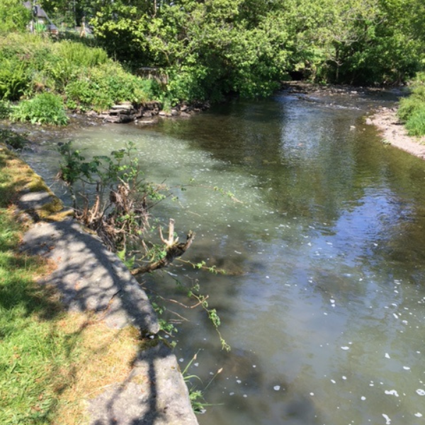 Image of the river Kent 